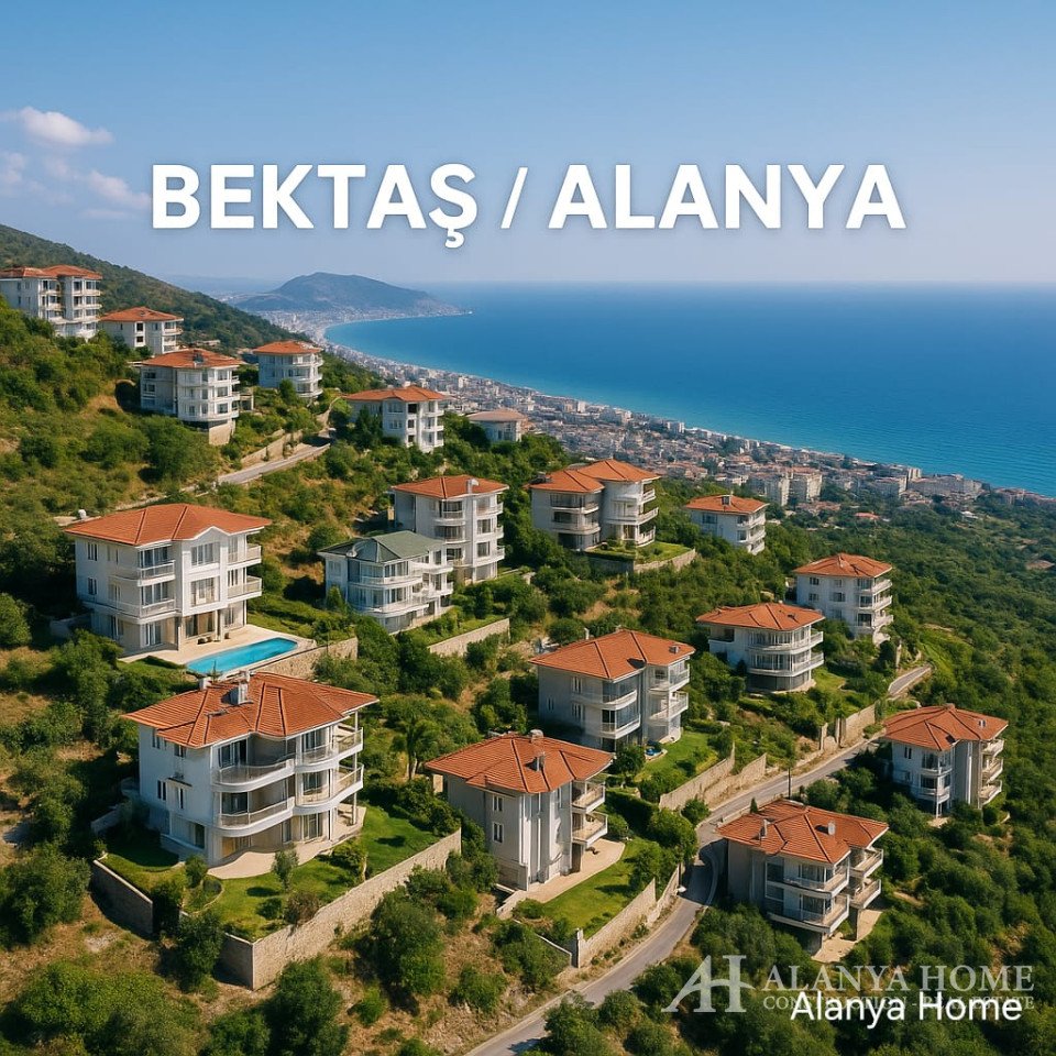 Bektaş à Alanya : guide du quartier, investissement et immobilier