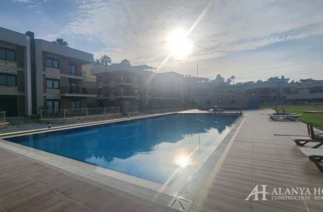Avocado Villa