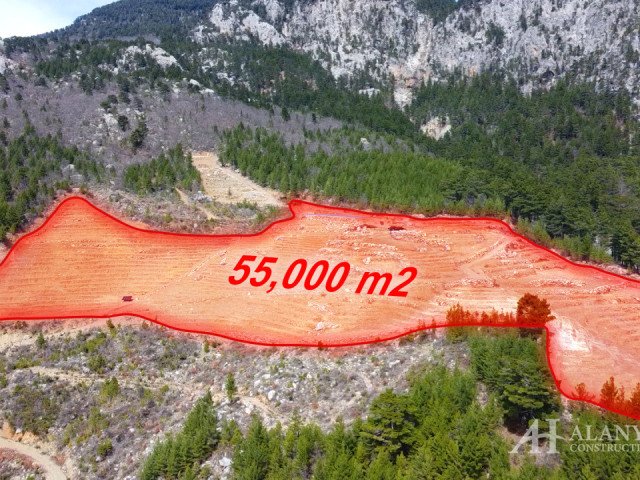 Продается земельный участок в Алании / Газипаша 55000m2 для строительство МЖК