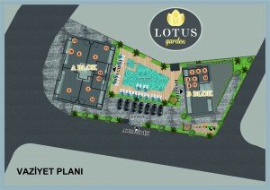 lotus_garden_numarator.jpg