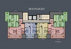 moonlight_star_cati_plan.jpg
