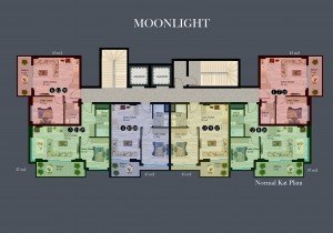moonlight_star_normal_kat.jpg